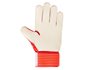 Furon Dispatch GK Gloves