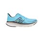 Fresh Foam X 1080v12