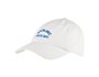 NB Seasonal Classic Hat