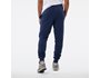 NB Sport Core Plus Pant