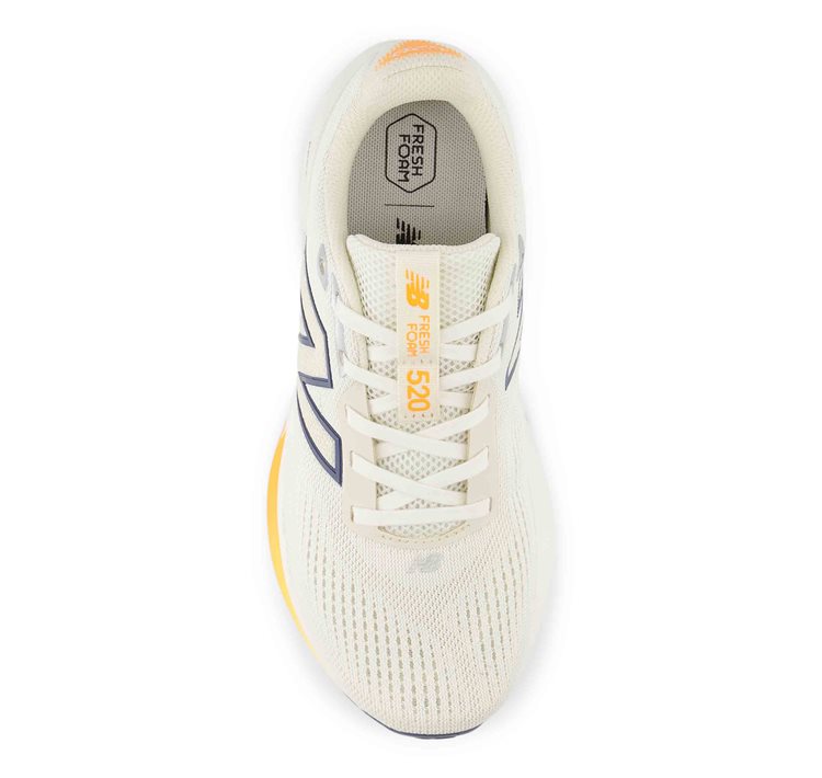 Fresh Foam 520v9