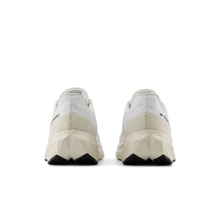 FuelCell Propel v5