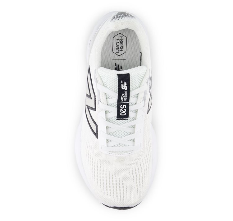 Fresh Foam 520v9