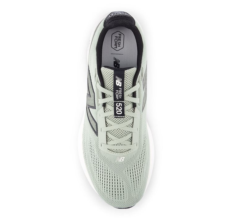 Fresh Foam 520v9